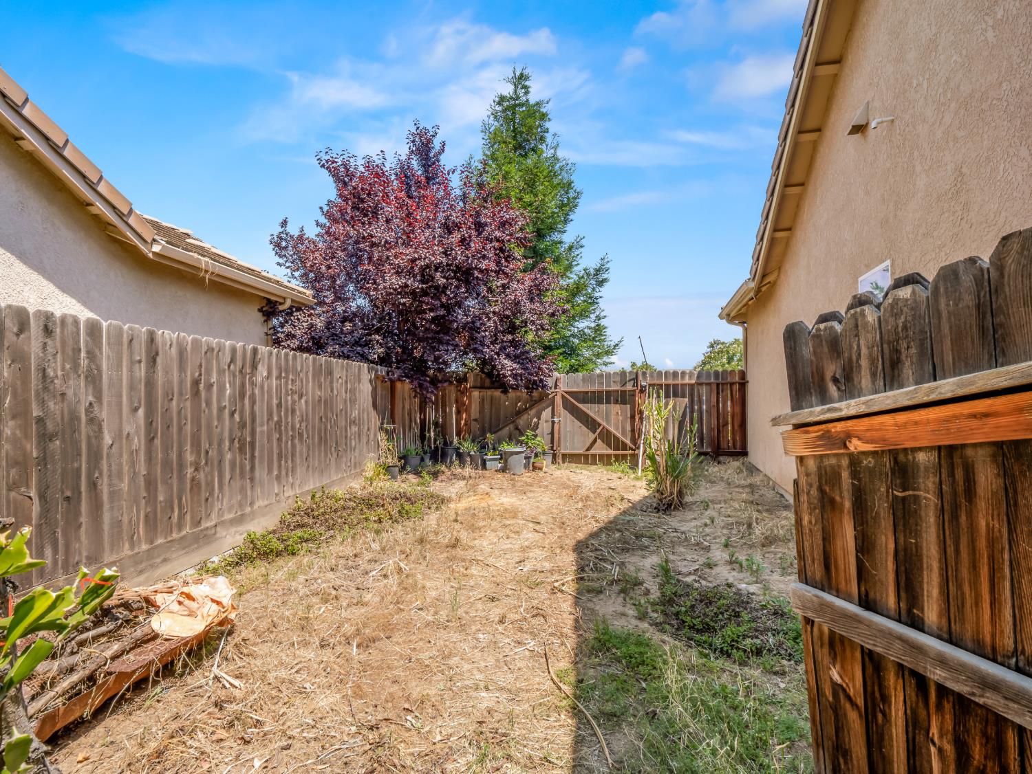 6249 W Dovewood Ln, Fresno, CA 93723