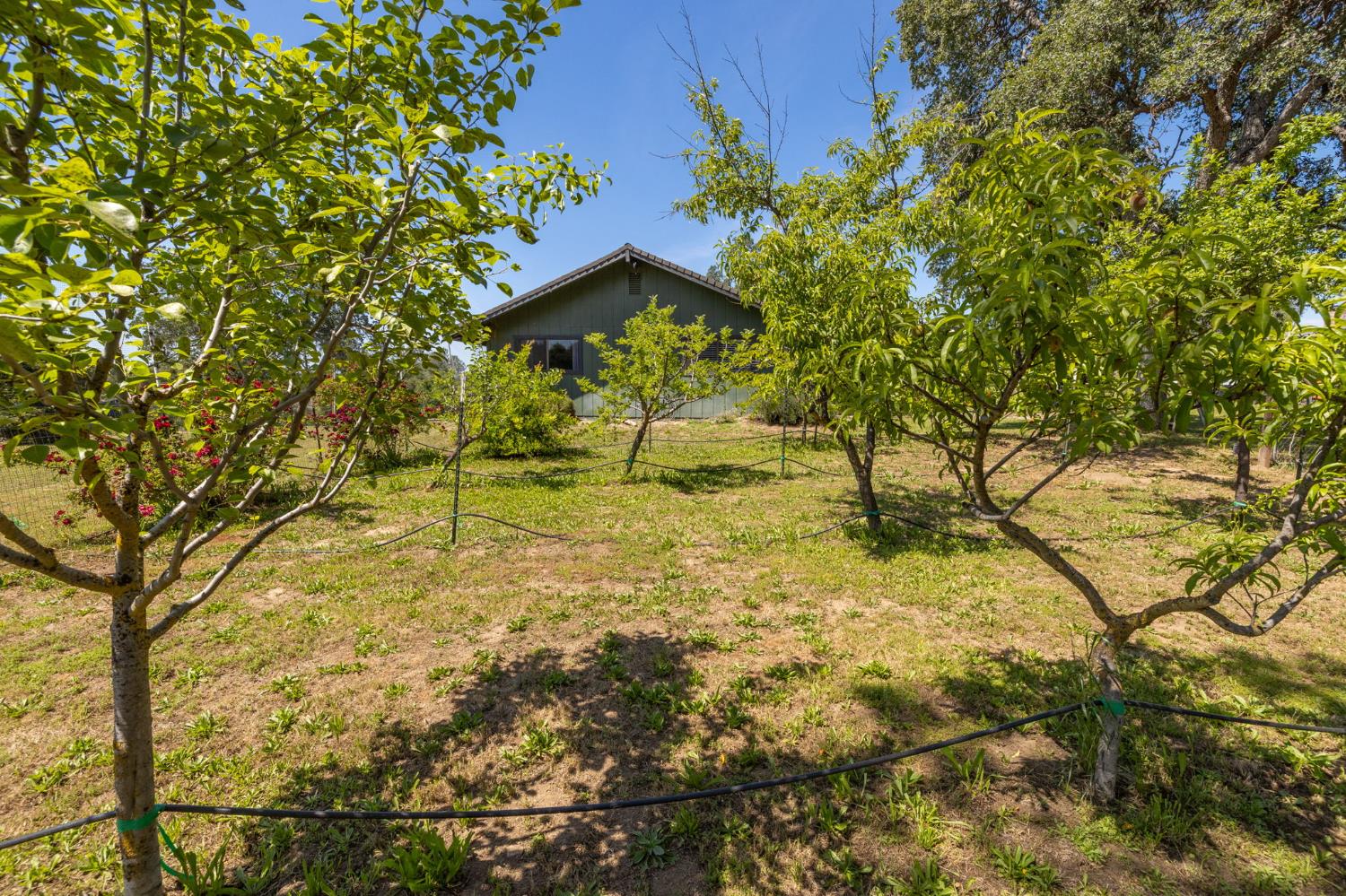 31477 Erie Rd, Coarsegold, CA 93614