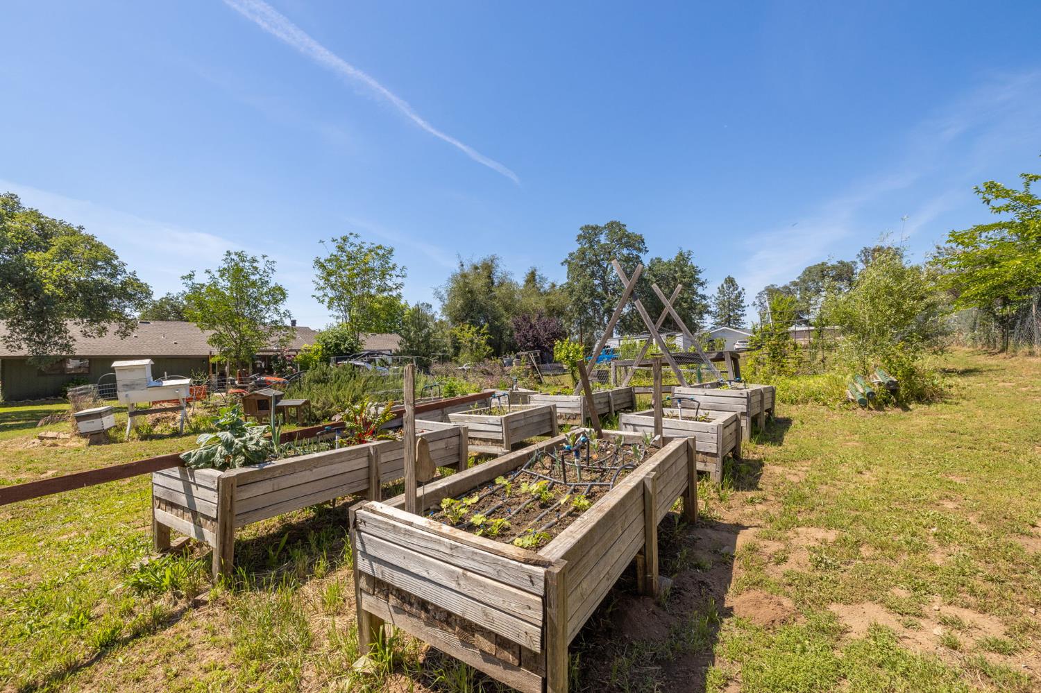 31477 Erie Rd, Coarsegold, CA 93614