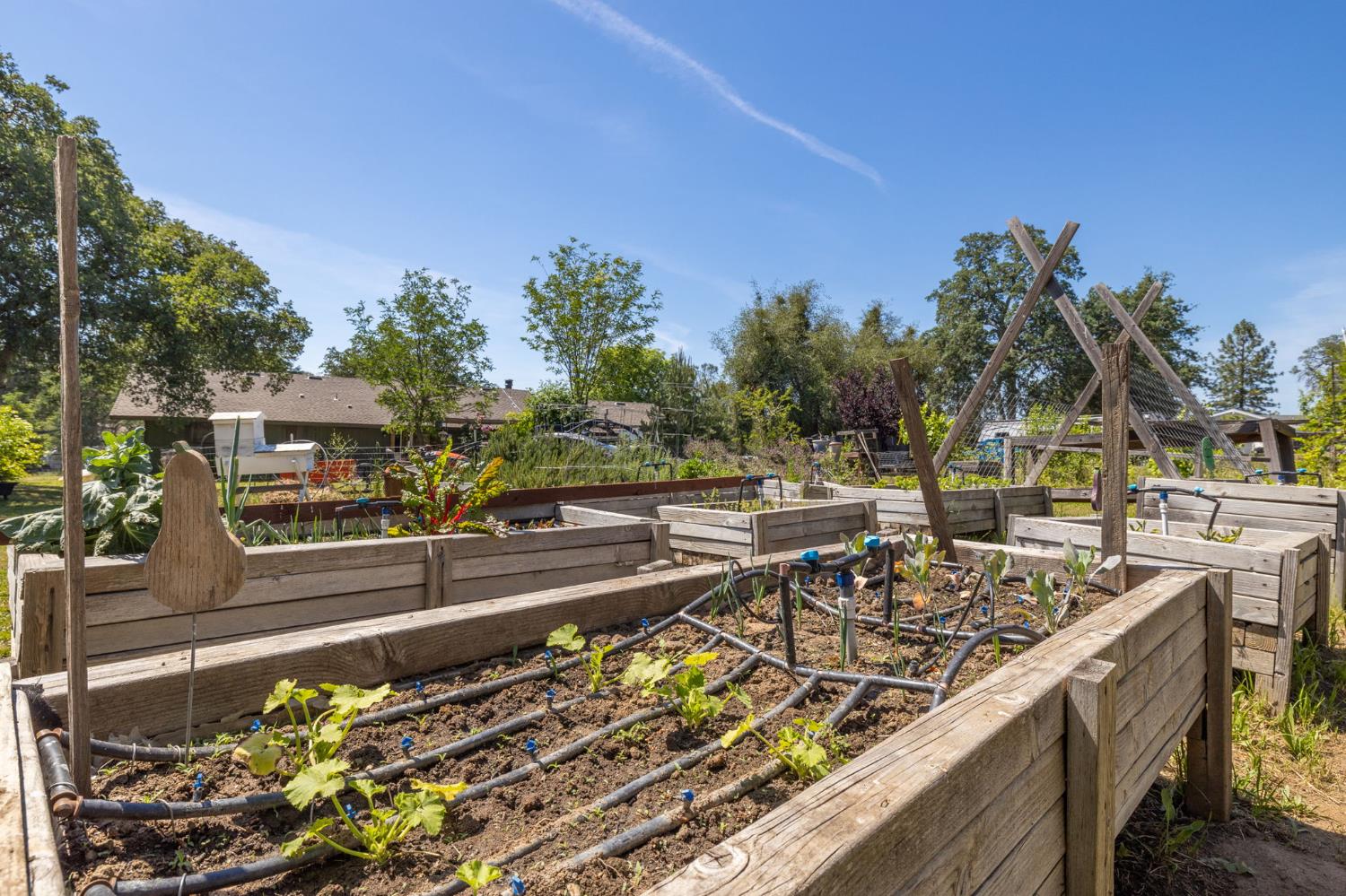 31477 Erie Rd, Coarsegold, CA 93614