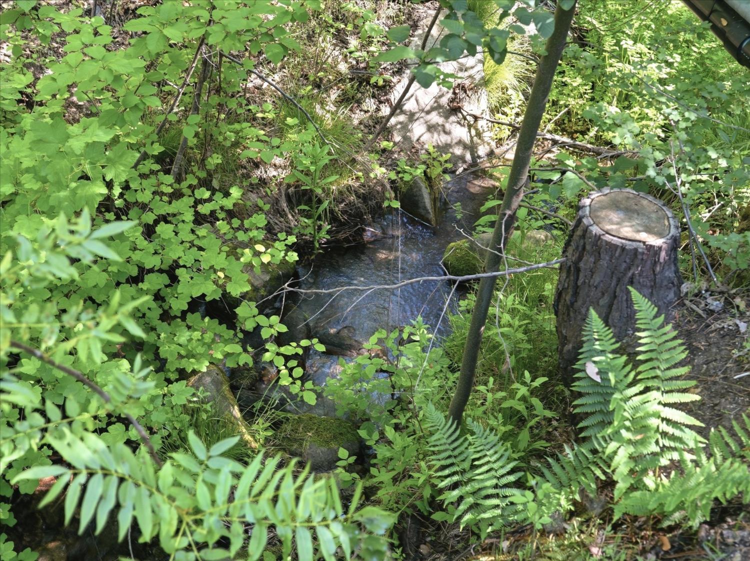Open Photo