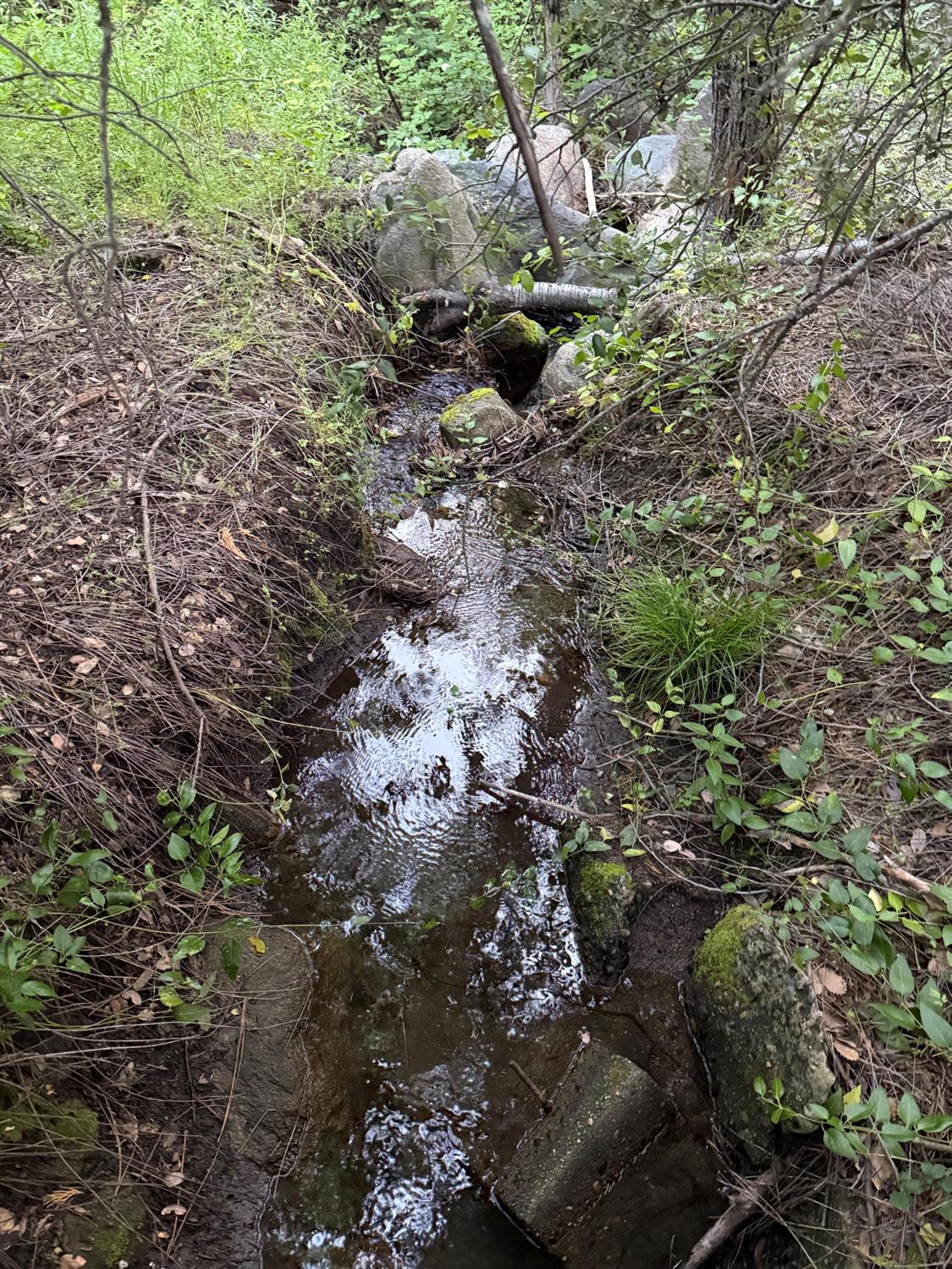 Open Photo