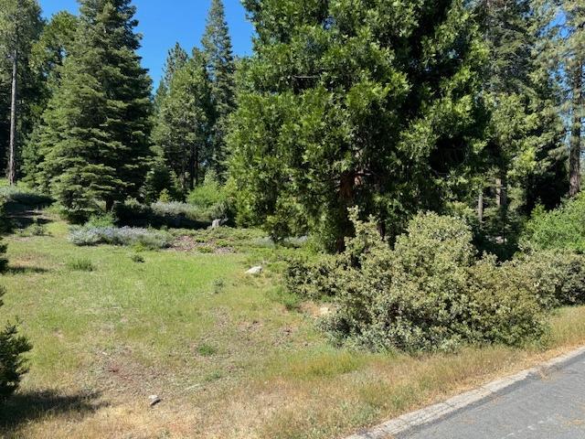 40902 Wild Iris Ln Ln, Shaver Lake, CA 93664