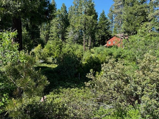 40902 Wild Iris Ln Ln, Shaver Lake, CA 93664
