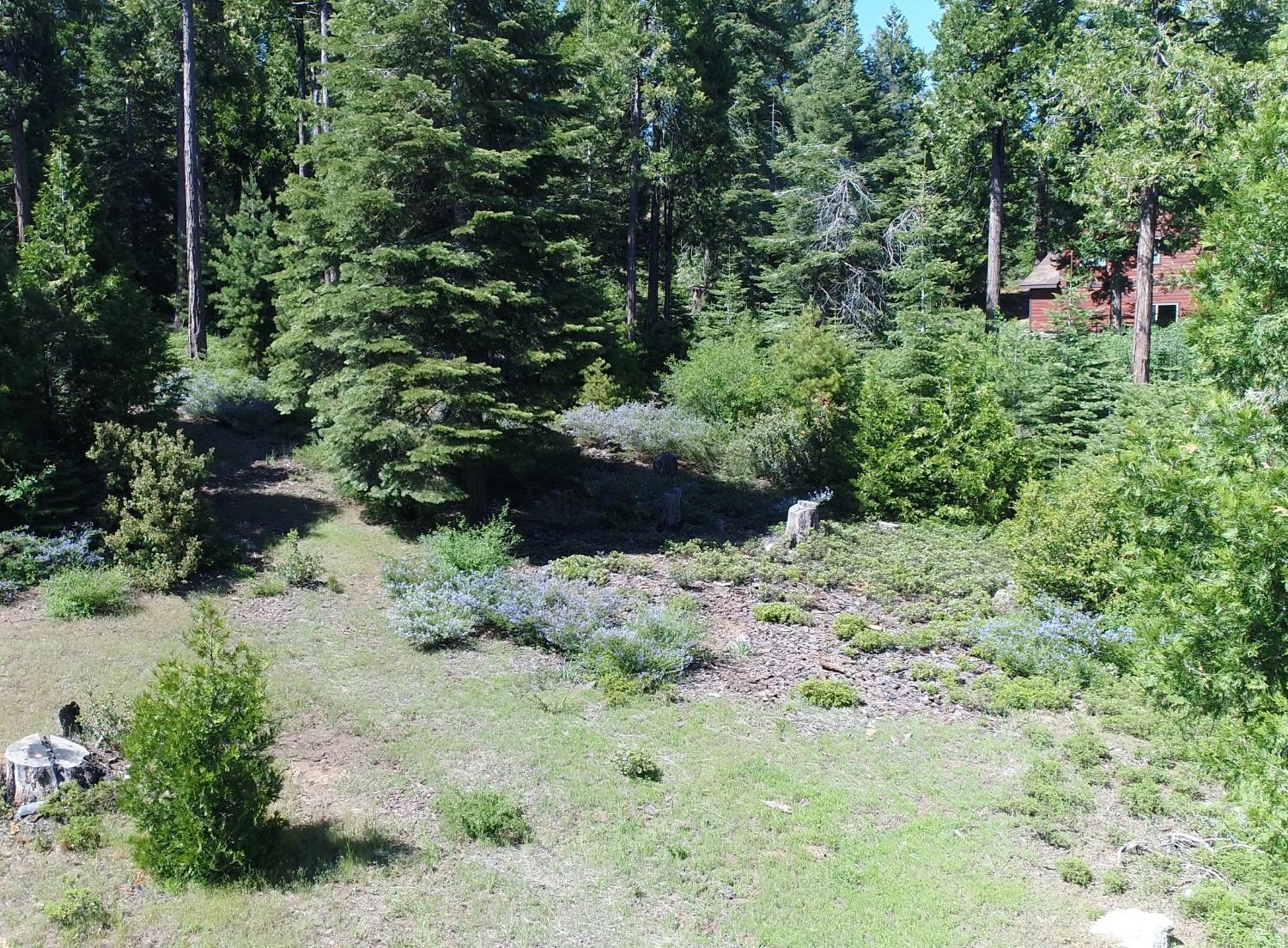40902 Wild Iris Ln Ln, Shaver Lake, CA 93664