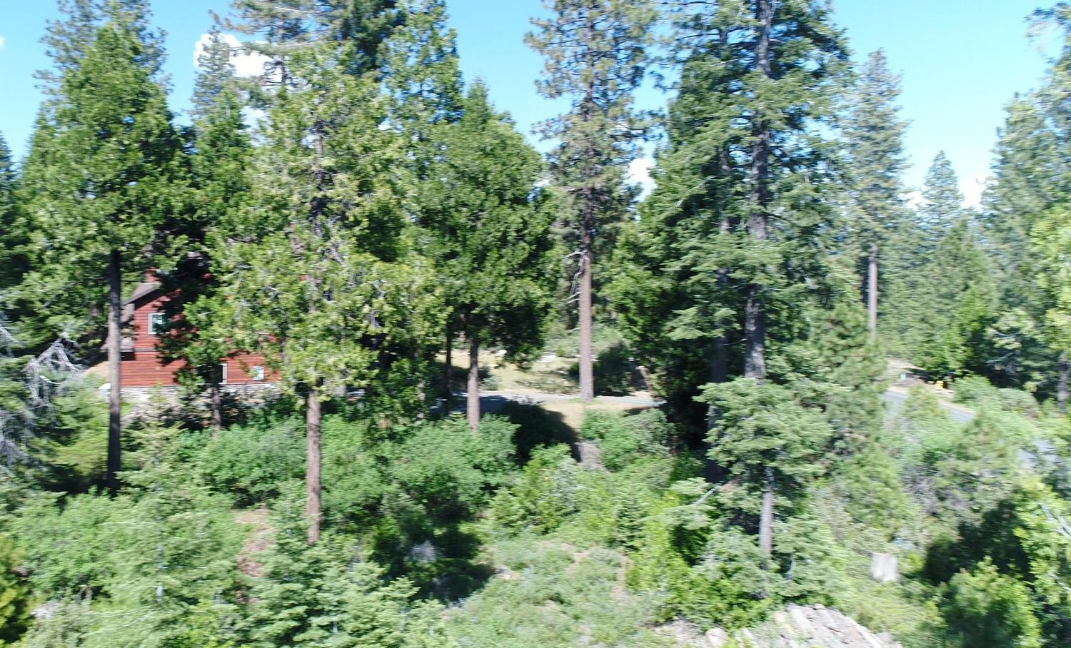 40902 Wild Iris Ln Ln, Shaver Lake, CA 93664