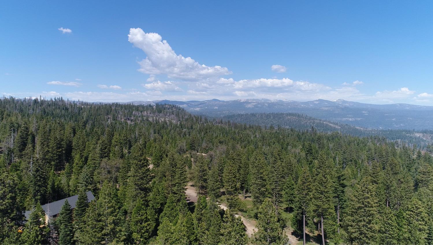40902 Wild Iris Ln Ln, Shaver Lake, CA 93664