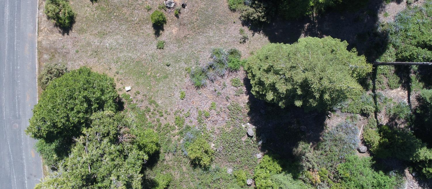 40902 Wild Iris Ln Ln, Shaver Lake, CA 93664