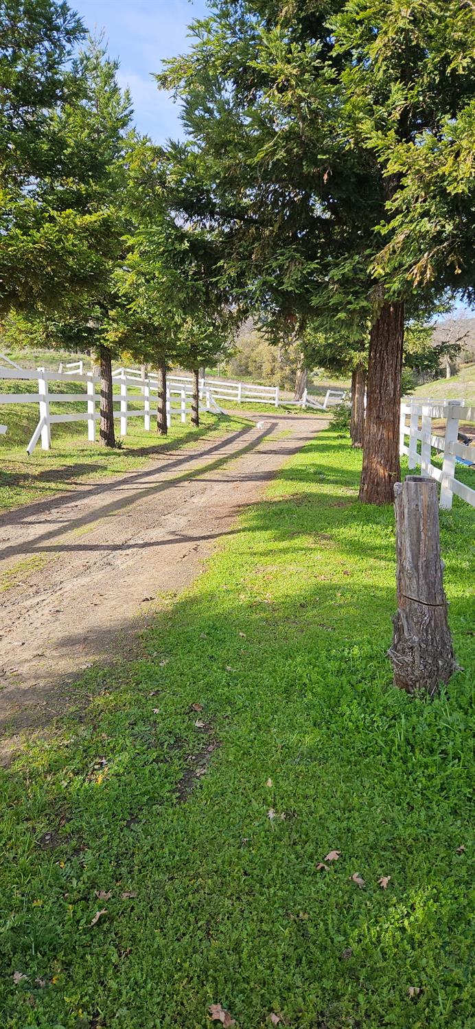 33555 Merrill Ranch Rd, O neals, CA 93645