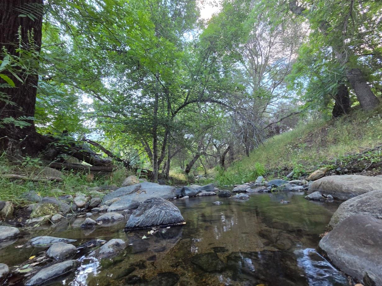 33555 Merrill Ranch Rd, O neals, CA 93645