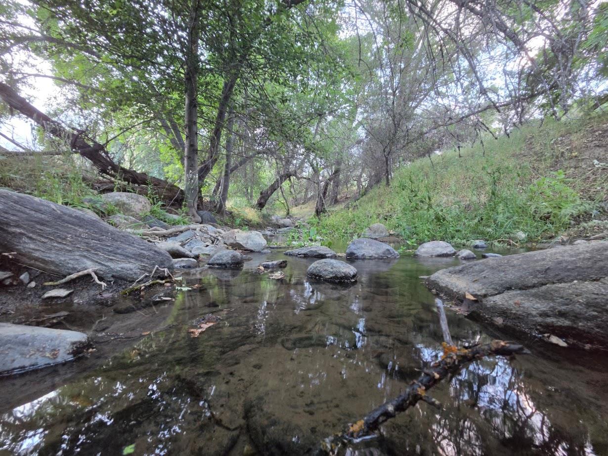 33555 Merrill Ranch Rd, O neals, CA 93645