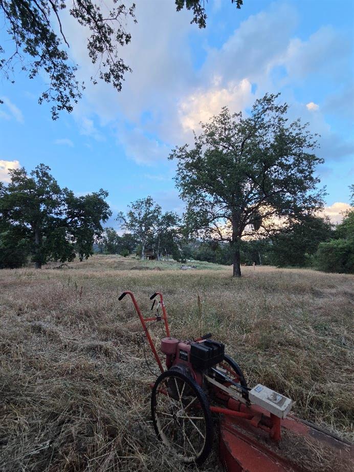 33555 Merrill Ranch Rd, O neals, CA 93645