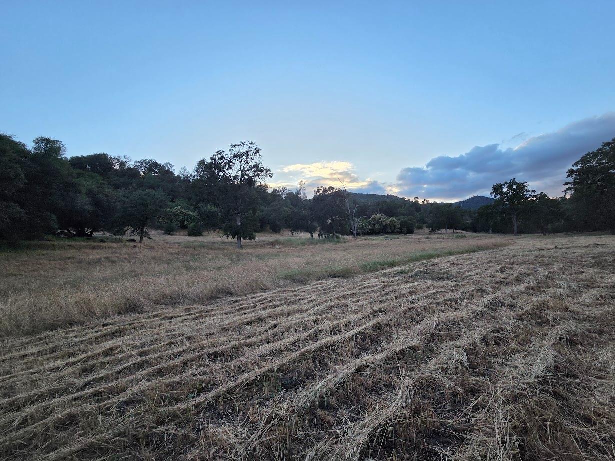 33555 Merrill Ranch Rd, O neals, CA 93645