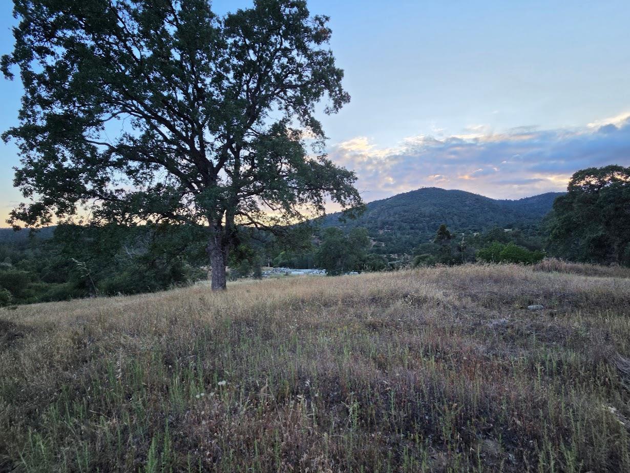 33555 Merrill Ranch Rd, O neals, CA 93645