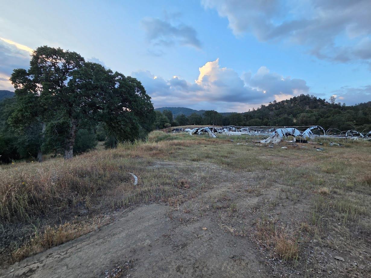 33555 Merrill Ranch Rd, O neals, CA 93645