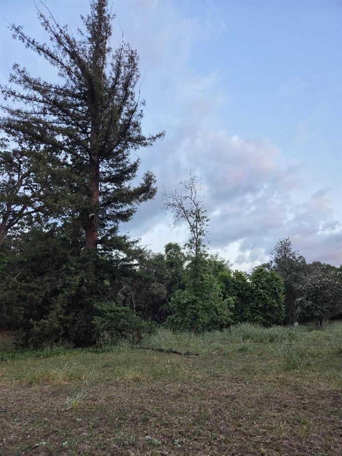 33555 Merrill Ranch Rd, O neals, CA 93645
