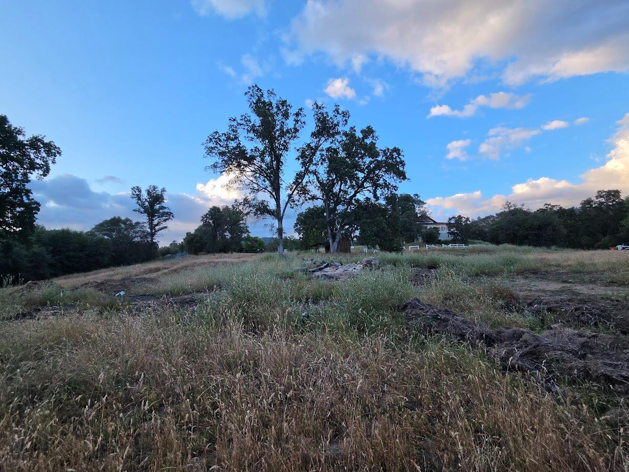 33555 Merrill Ranch Rd, O neals, CA 93645