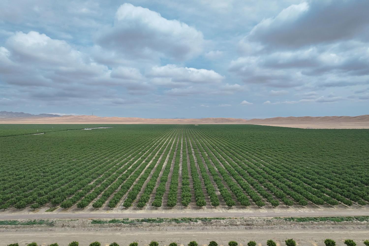 0 0 York Ave, Avenal, CA 93204