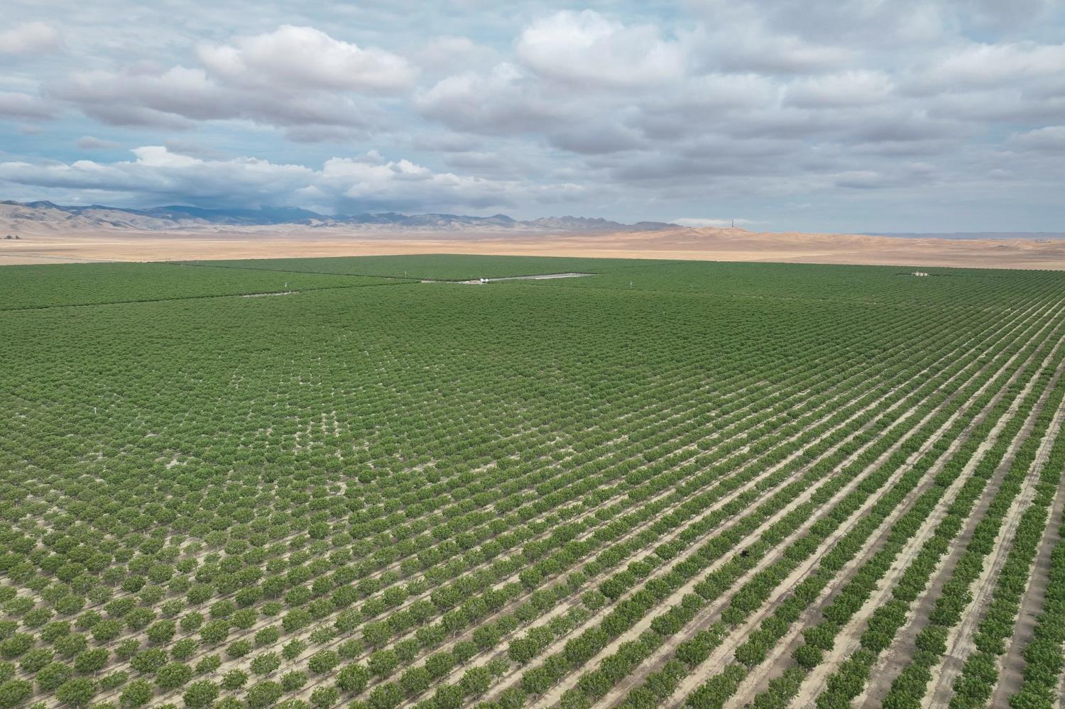 0 0 York Ave, Avenal, CA 93204