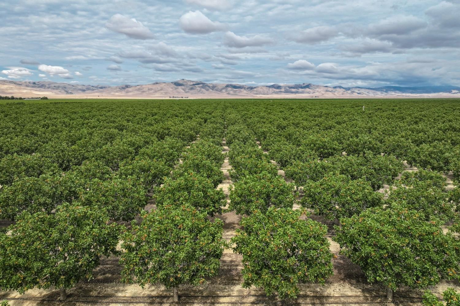 0 0 York Ave, Avenal, CA 93204