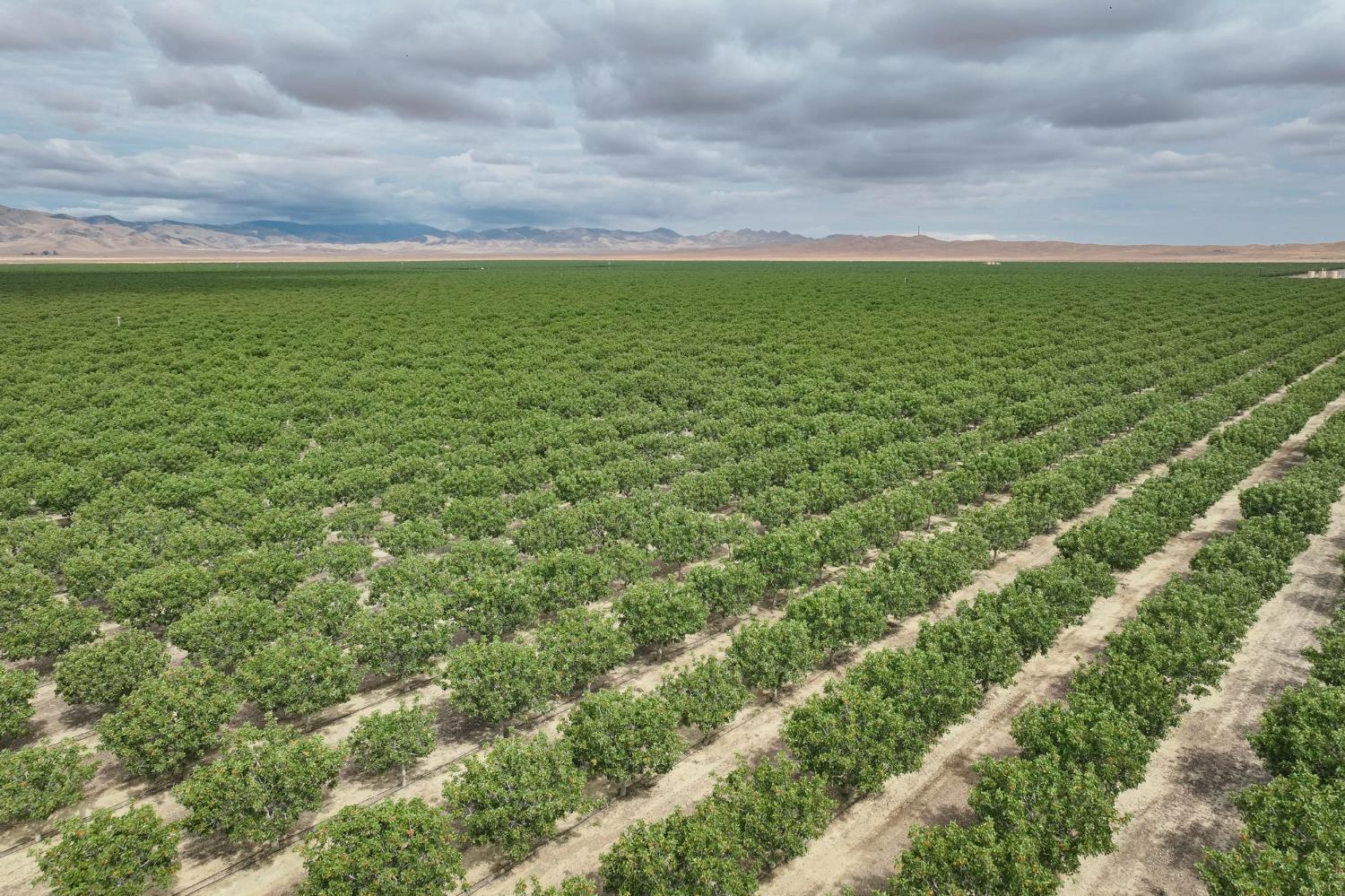 0 0 York Ave, Avenal, CA 93204