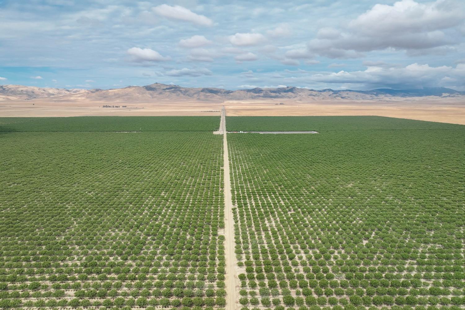0 0 York Ave, Avenal, CA 93204