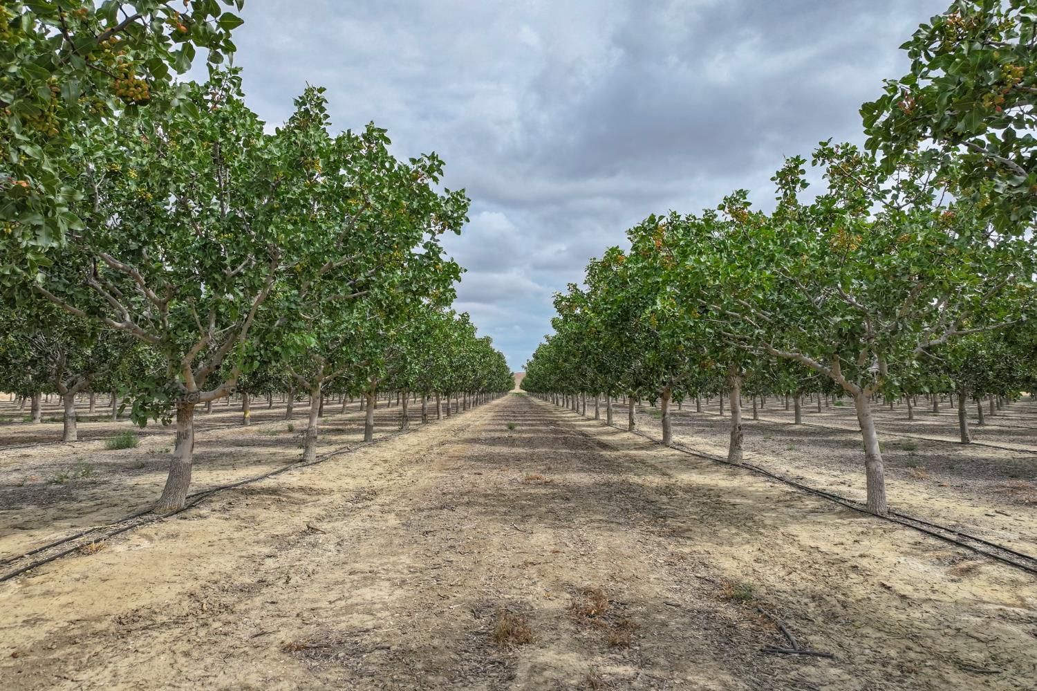 0 0 York Ave, Avenal, CA 93204