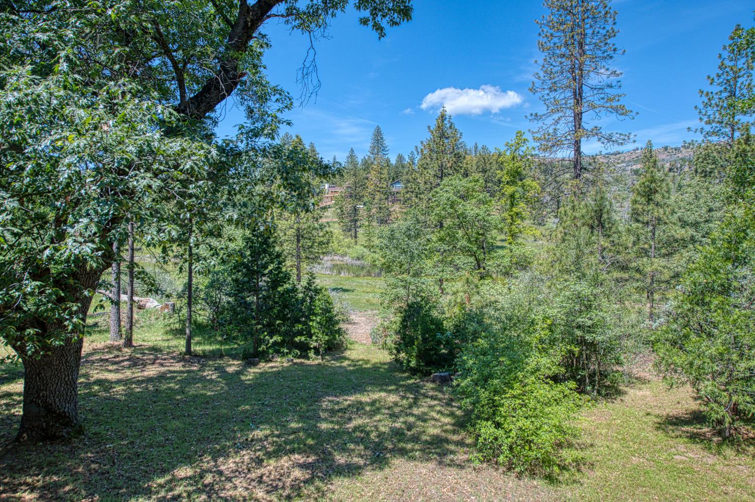 34154 Shaver Springs Rd, Auberry, CA 93602