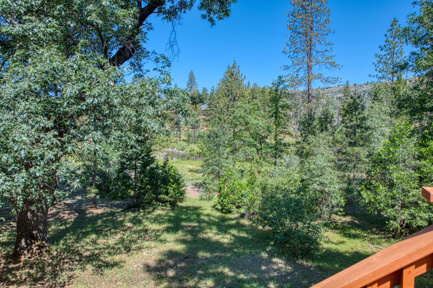 34154 Shaver Springs Rd, Auberry, CA 93602