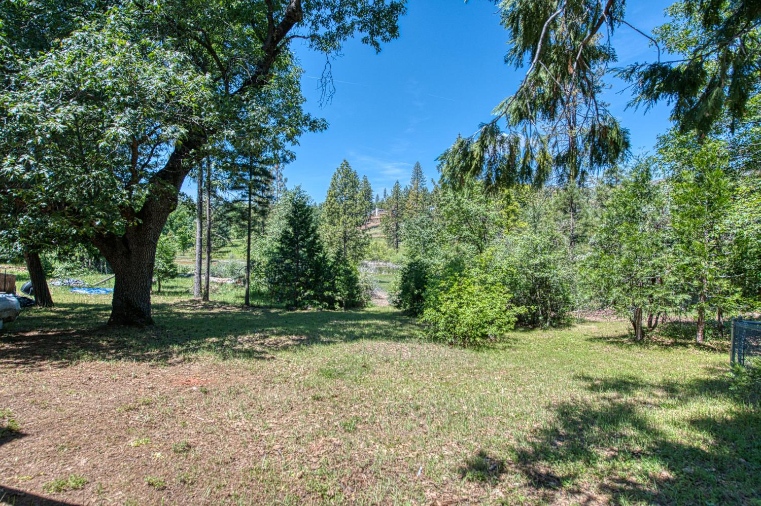 34154 Shaver Springs Rd, Auberry, CA 93602