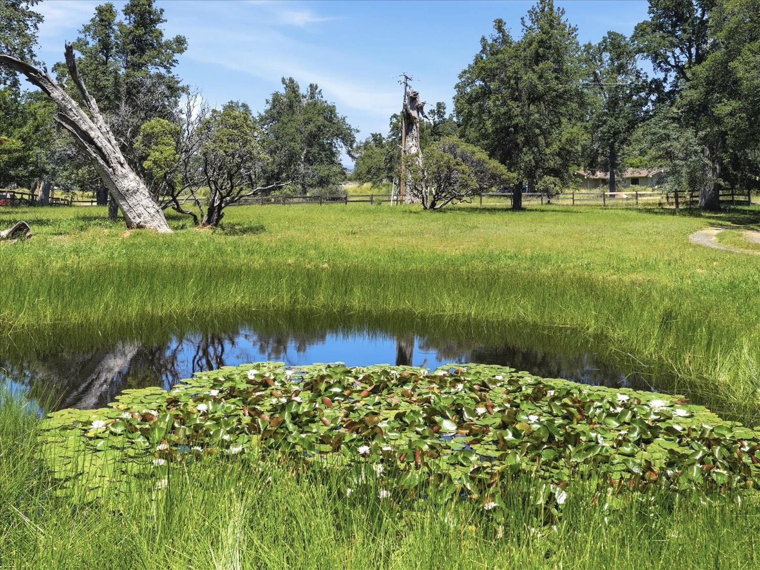 50655 Barcus Cir, Coarsegold, CA 93614