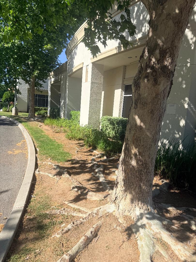 7105 N Chestnut Ave, Fresno, CA 93720