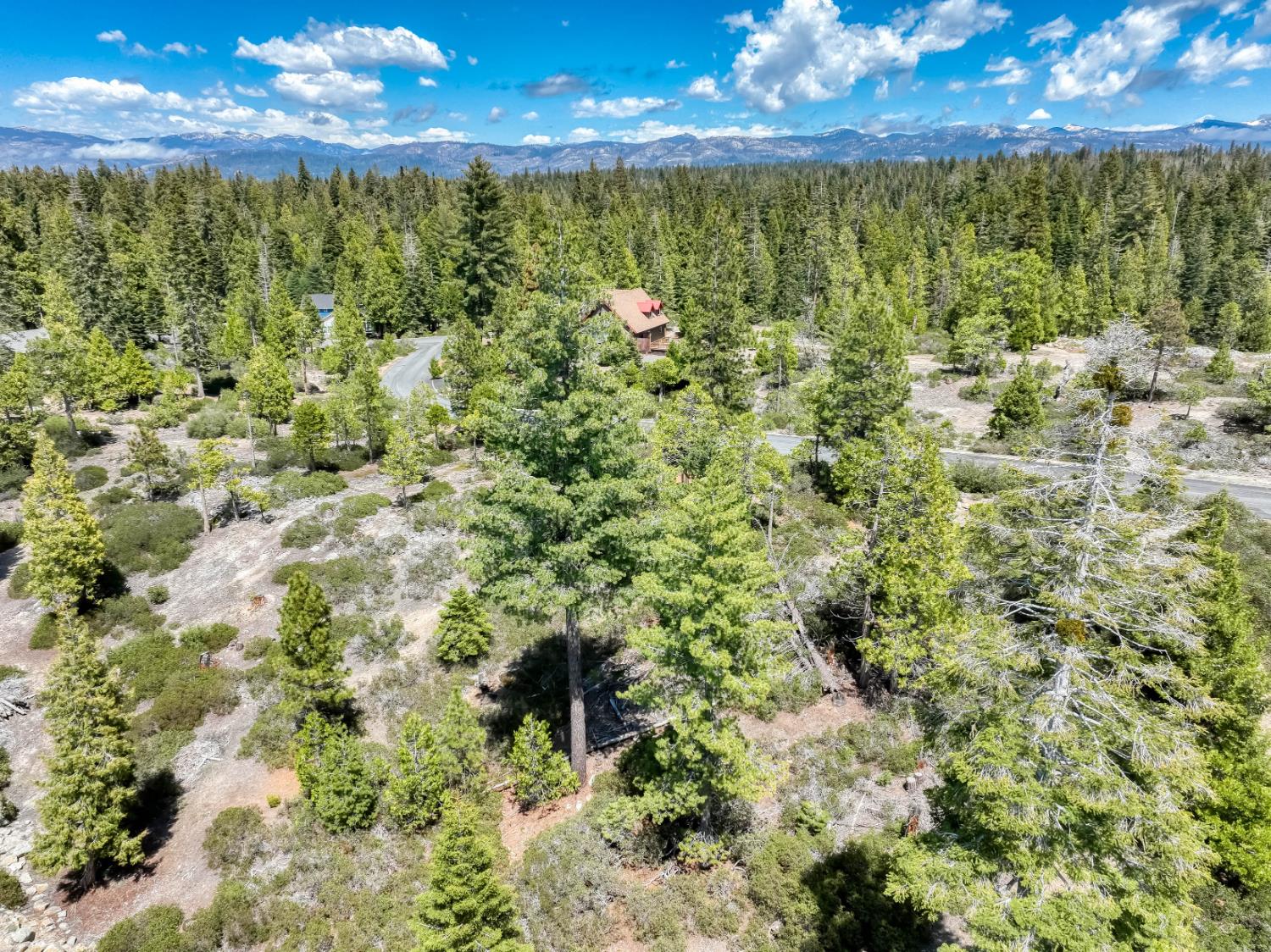 44444 Fawn Lily Ln, Shaver Lake, CA 93664