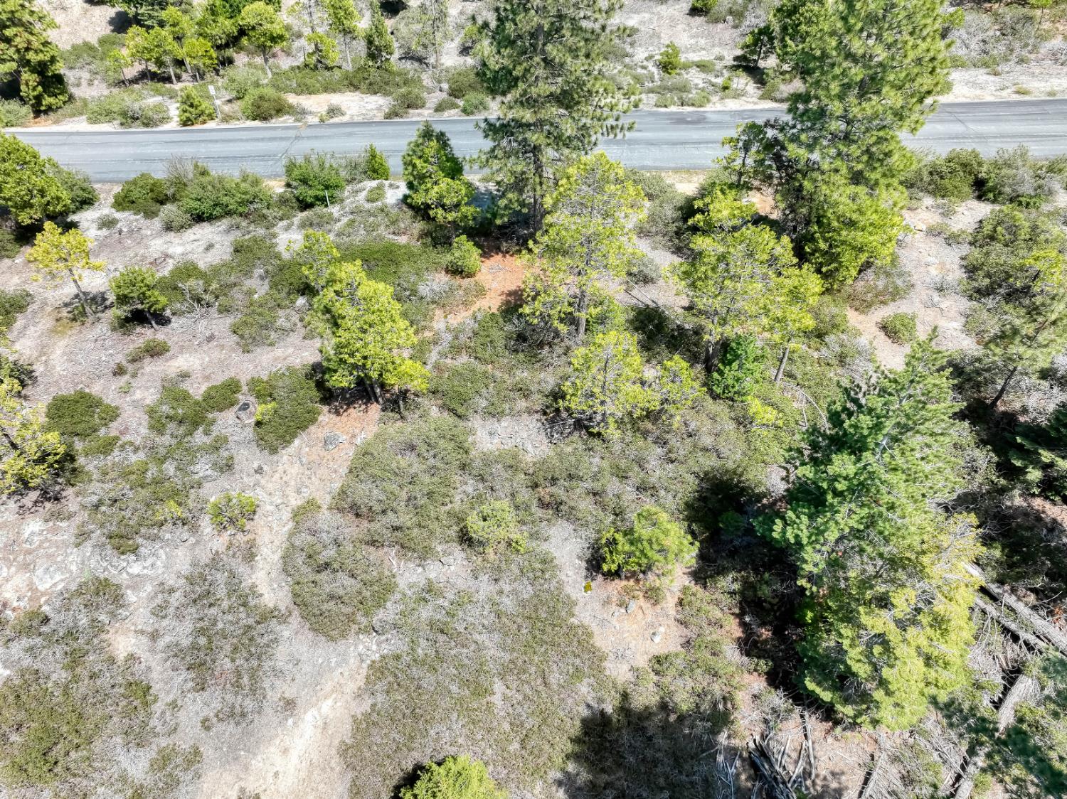 44444 Fawn Lily Ln, Shaver Lake, CA 93664