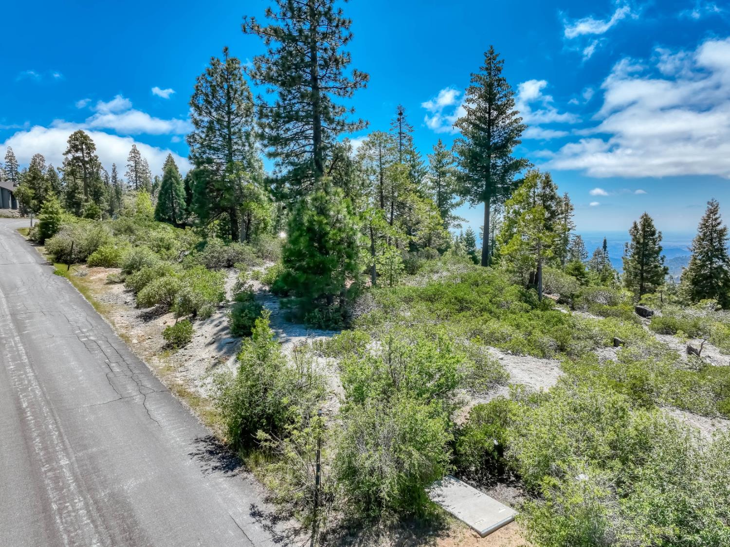 44444 Fawn Lily Ln, Shaver Lake, CA 93664