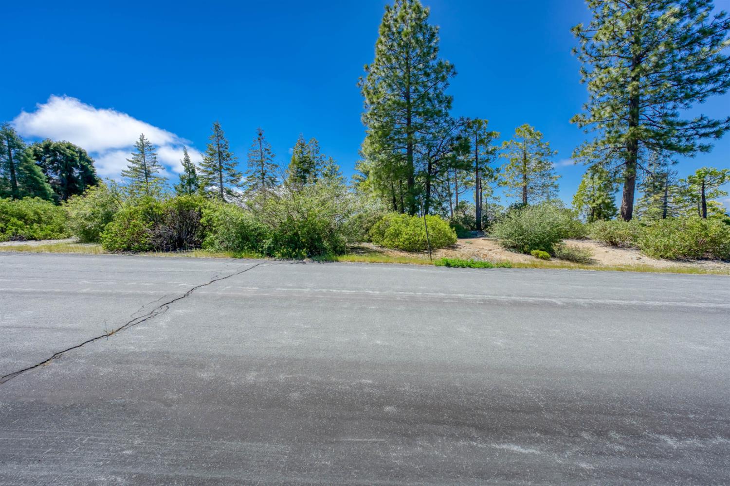 44444 Fawn Lily Ln, Shaver Lake, CA 93664