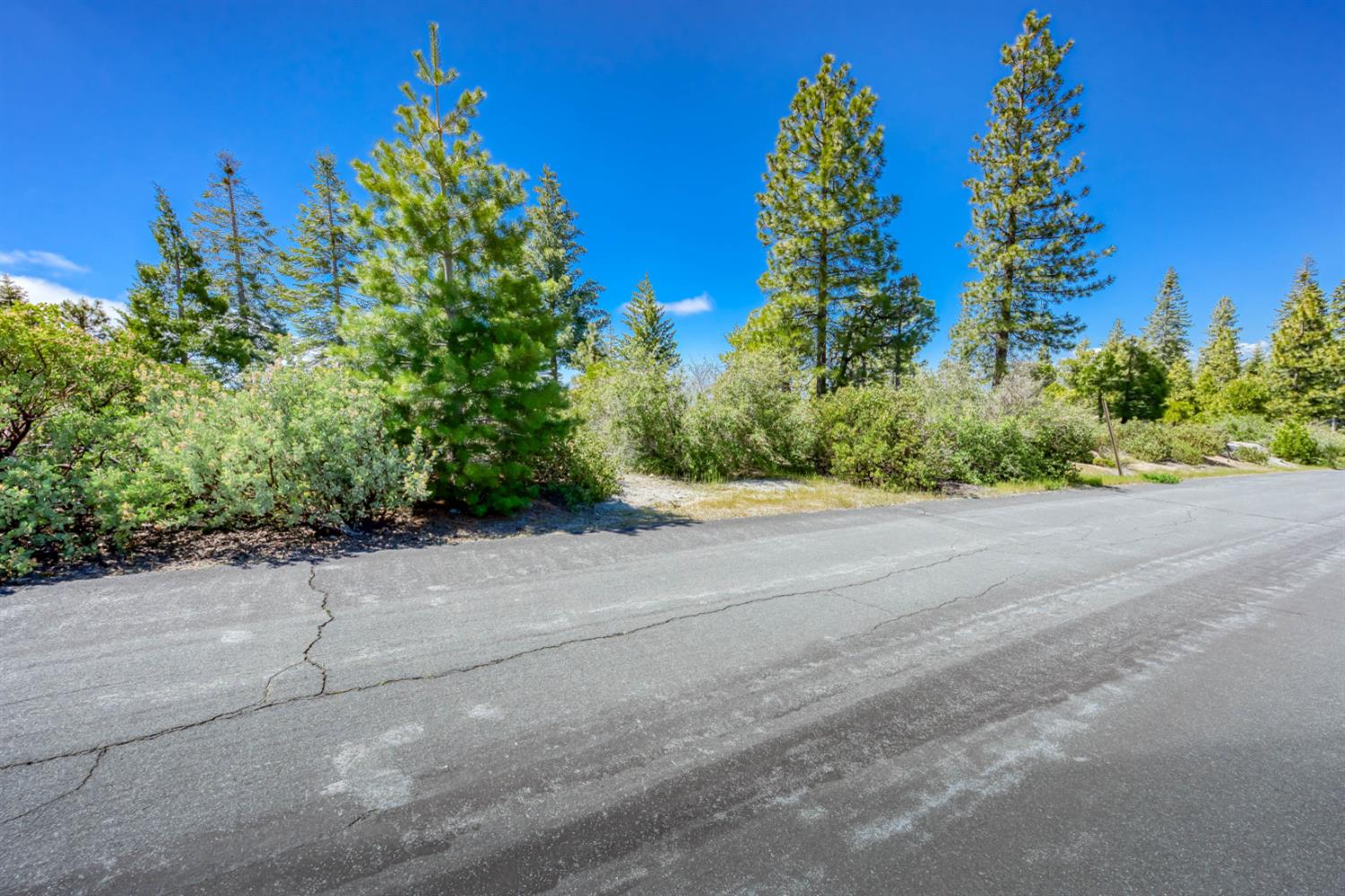 44444 Fawn Lily Ln, Shaver Lake, CA 93664