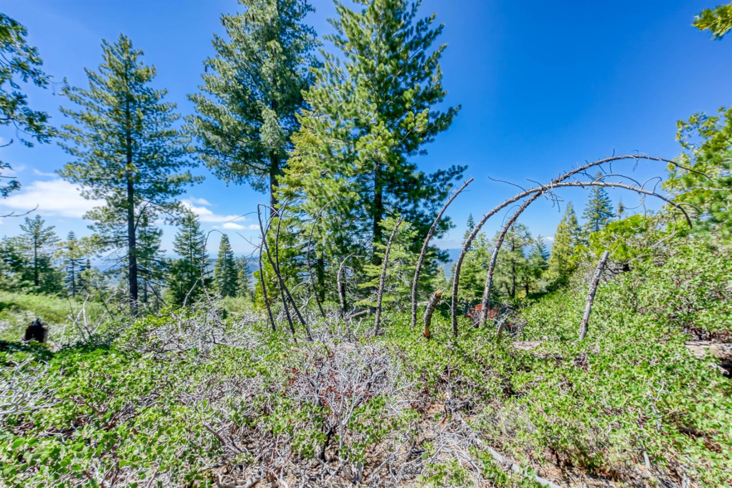 44444 Fawn Lily Ln, Shaver Lake, CA 93664