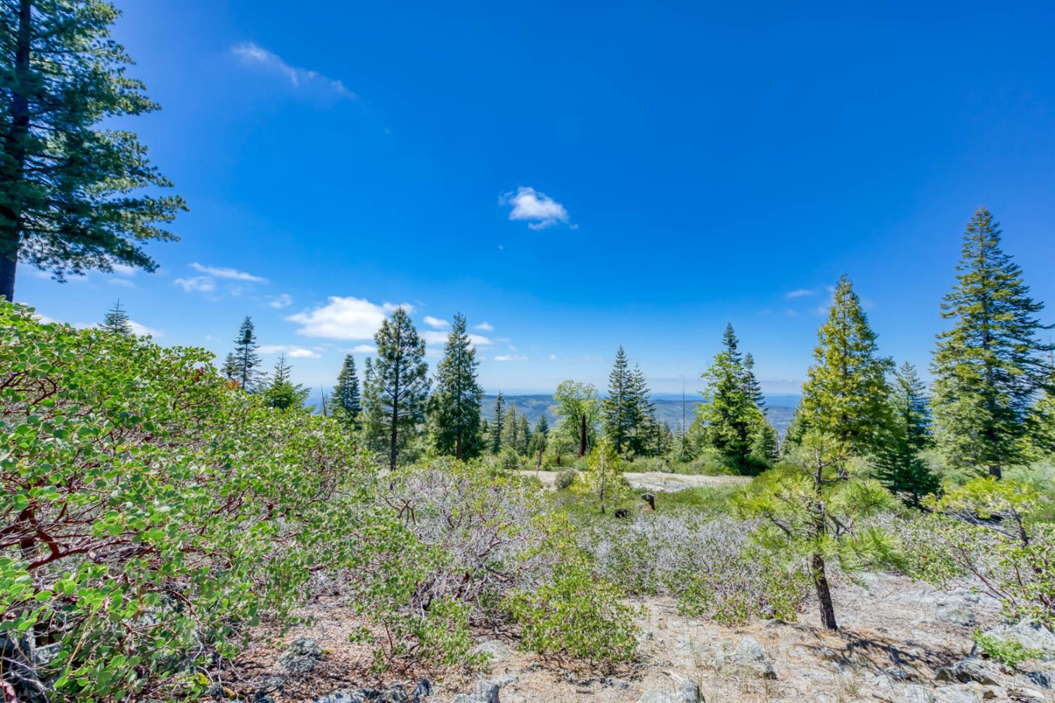 44444 Fawn Lily Ln, Shaver Lake, CA 93664