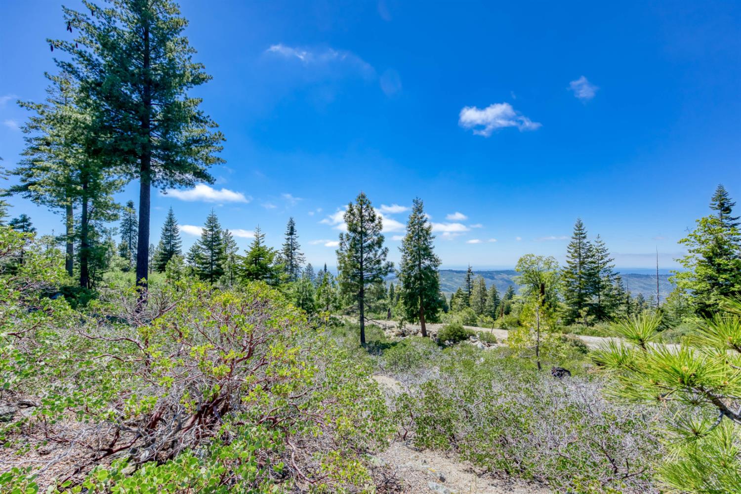 44444 Fawn Lily Ln, Shaver Lake, CA 93664