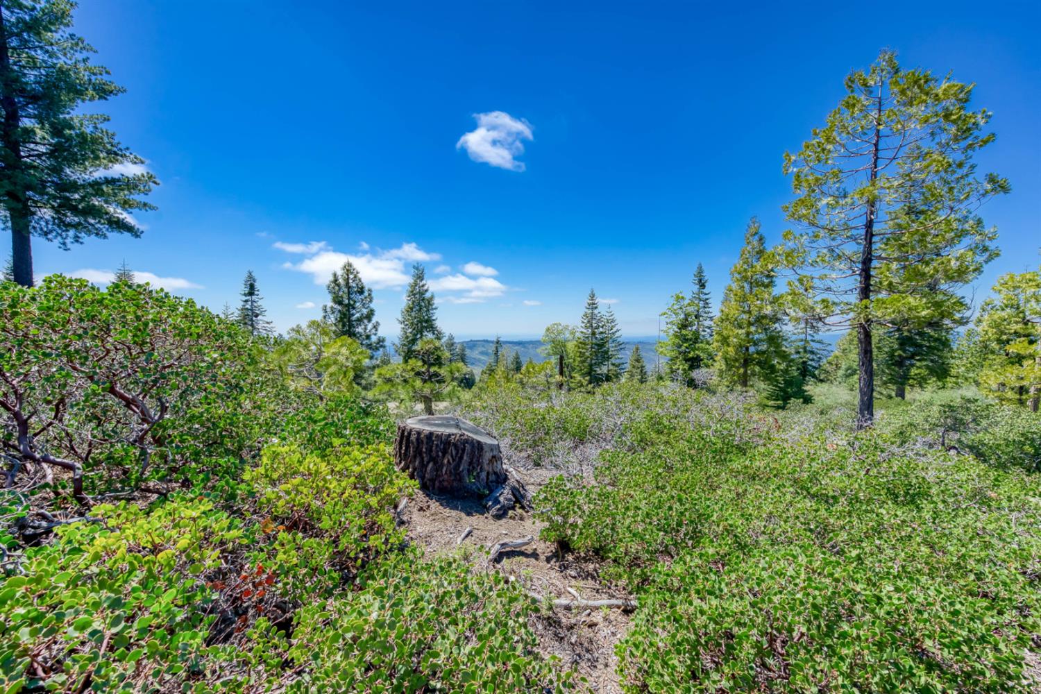 44444 Fawn Lily Ln, Shaver Lake, CA 93664