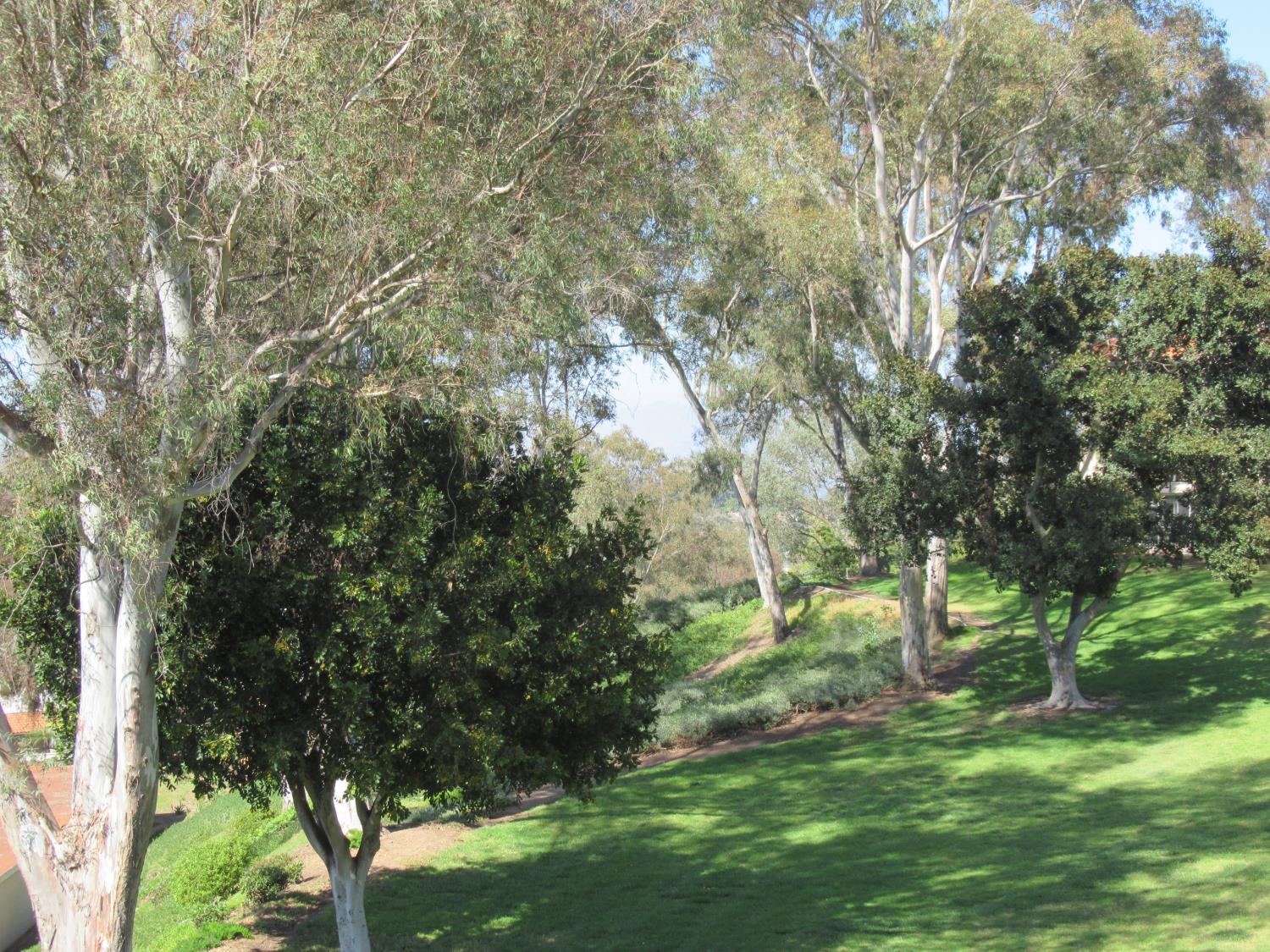 5370 5370 Punta Alta #2A, Laguna Woods, CA 92637