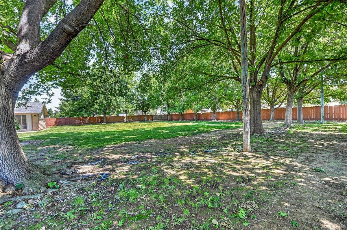 1185 N Locan Ave, Clovis, CA 93619
