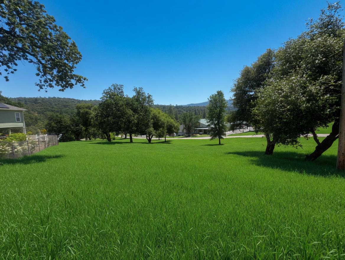 1 Old Stone Gate CT, Oakhurst, CA 93644