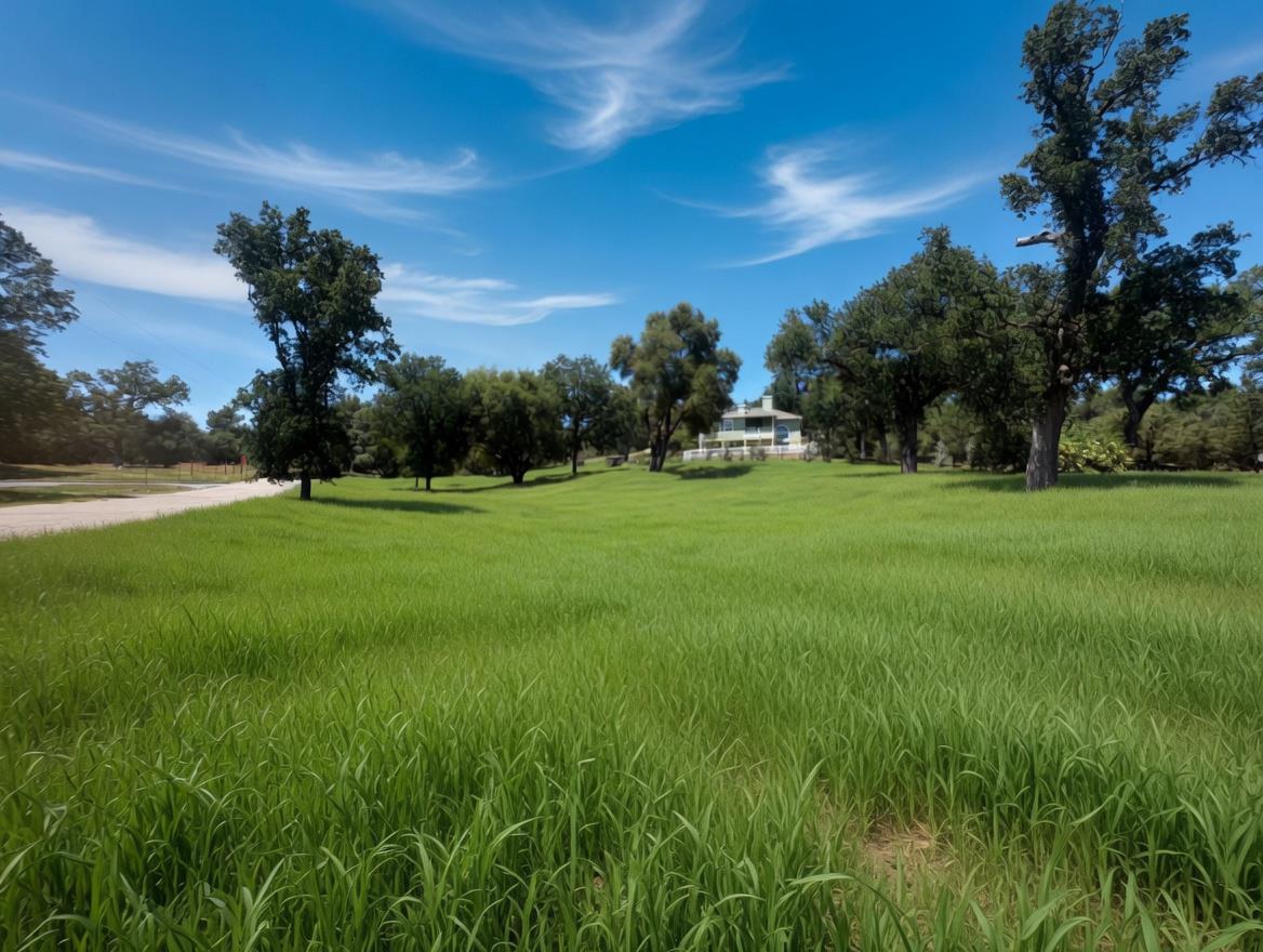 1 Old Stone Gate CT, Oakhurst, CA 93644