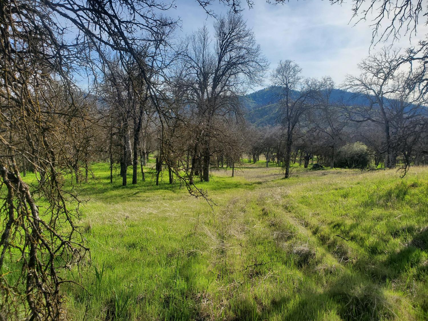 0 E Kings Canyon Rd, Dunlap, CA 93621