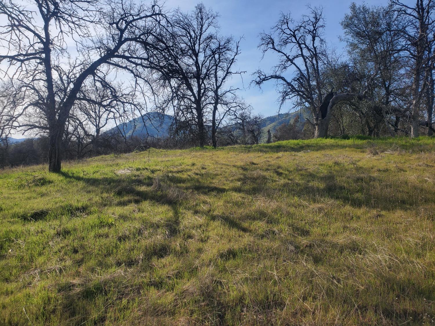 0 E Kings Canyon Rd, Dunlap, CA 93621