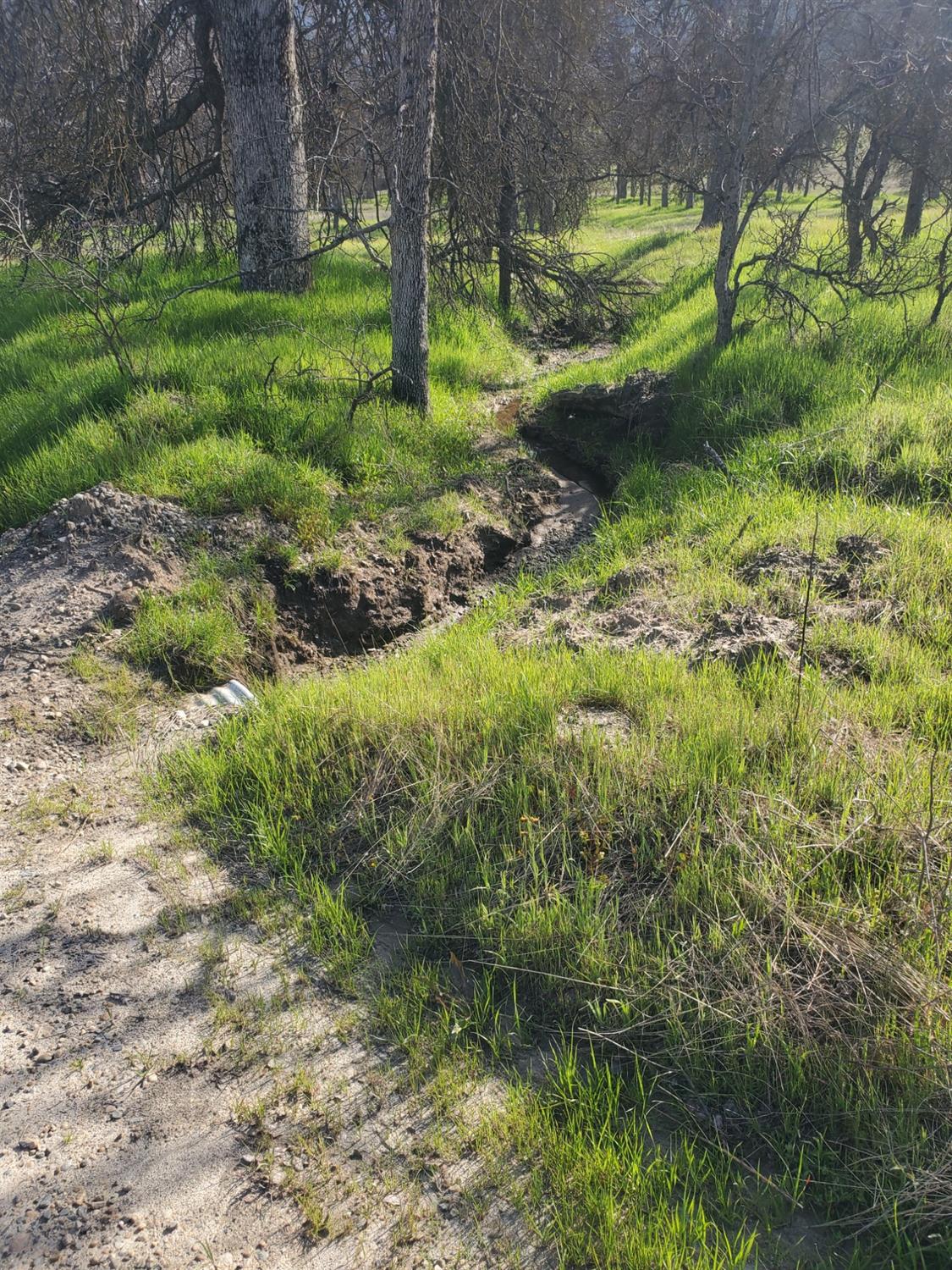 0 E Kings Canyon Rd, Dunlap, CA 93621