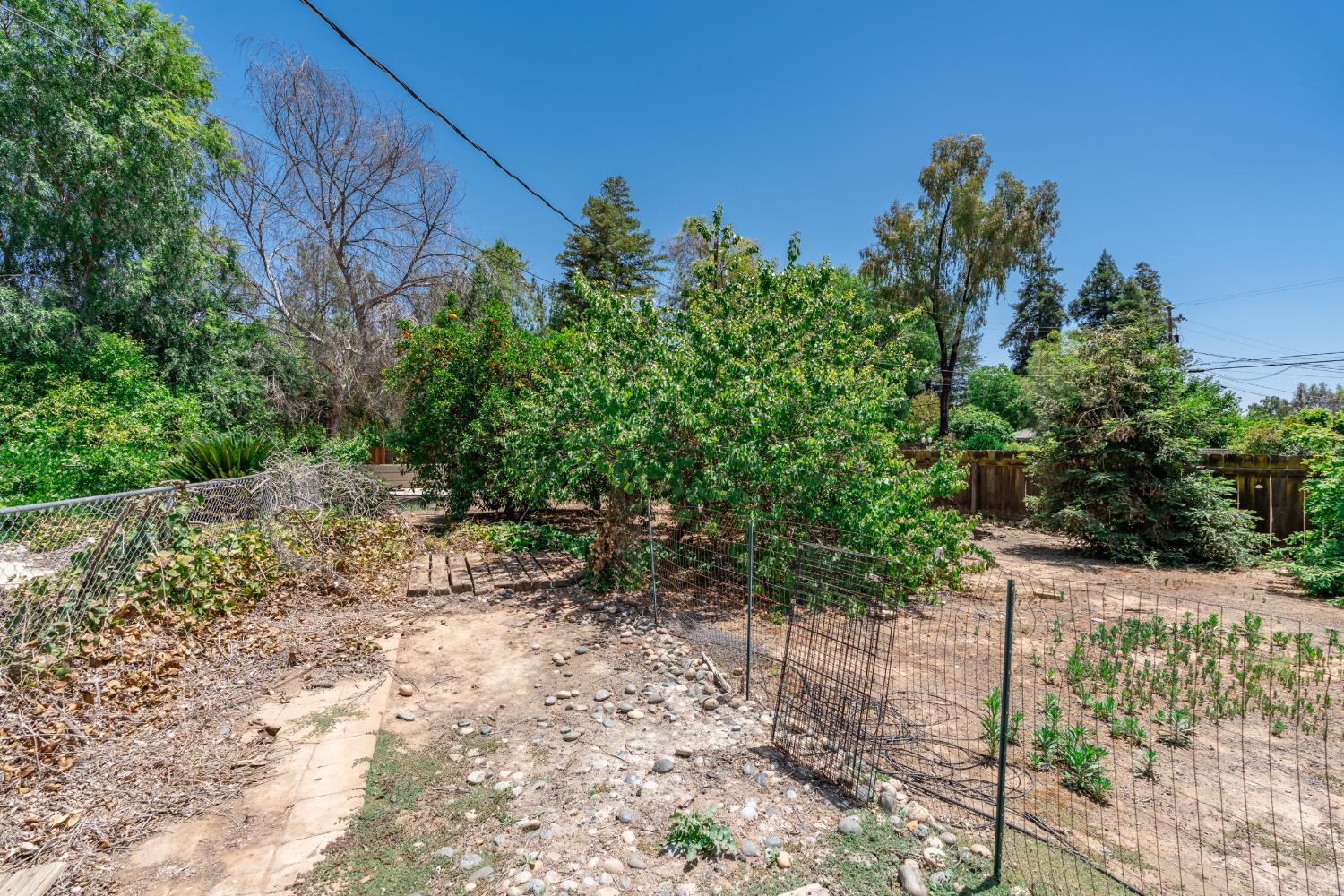 36358 Orange Grove Ave, Madera, CA 93636