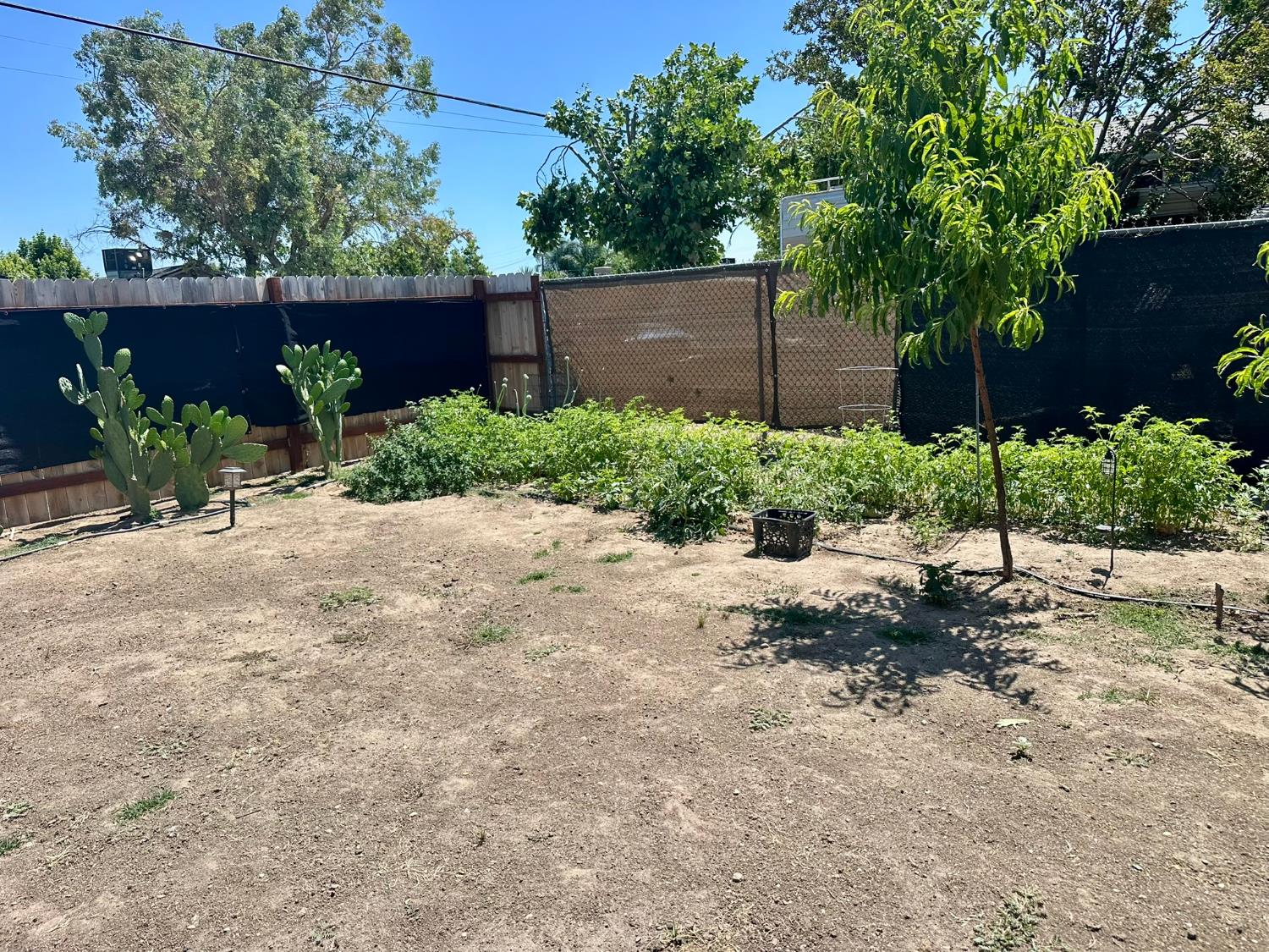440 S 13th St, Chowchilla, CA 93610